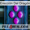 Erección Del Dragón 04